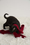 (Red)Faux Fur Skinny Scarf-TENERA Accessories Collection