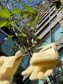 (Creamy Yellow)Faux Fur Gloves-TENERA Accessories Collection